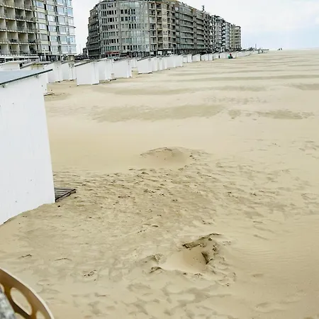 Apartment Bel A 50m De La Mer.