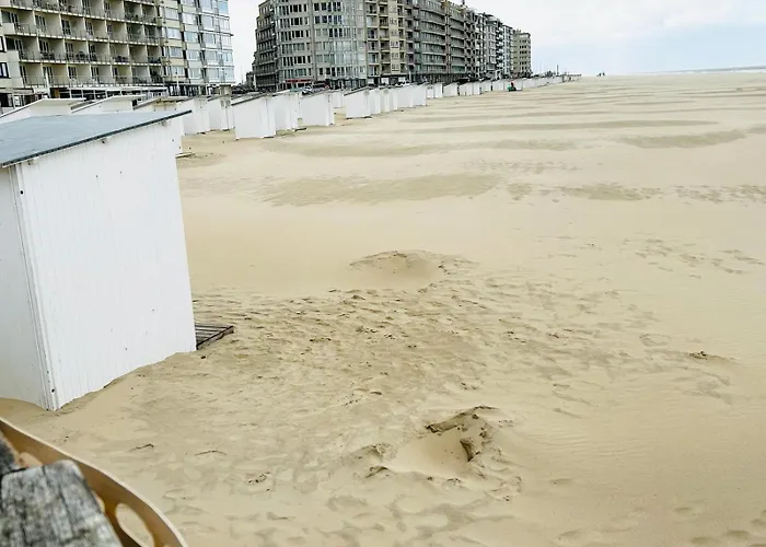 Apartment Bel A 50m De La Mer.